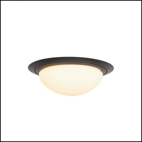 Smart Home LED Deckenleuchten Deckenlampe schwarz ø 24 cm 24 x 7.5 cm