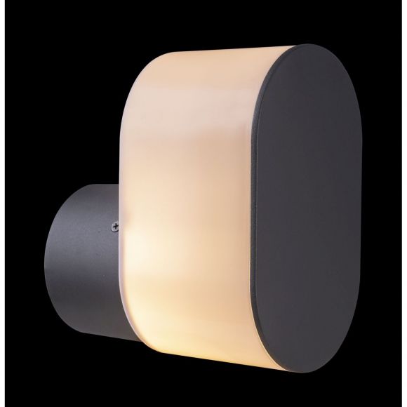 E27 Außenwandleuchte anthrazit opal Außenwandlampe IP44 12 x 20 cm