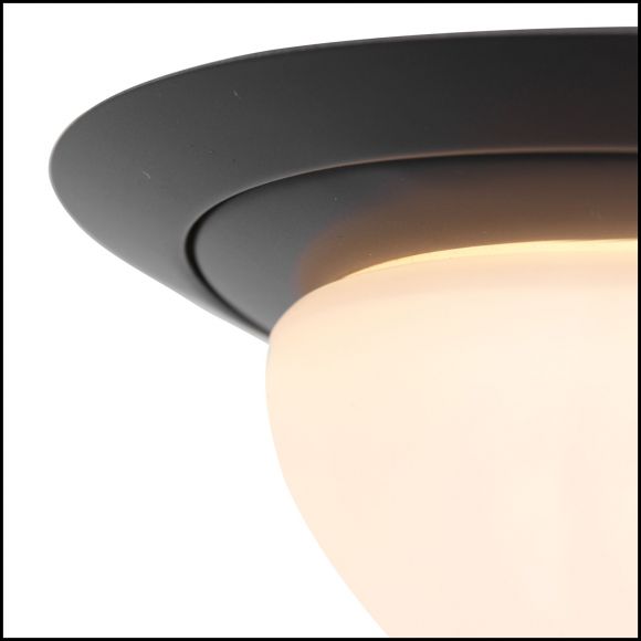 Smart Home LED Deckenleuchten Deckenlampe schwarz ø 24 cm 24 x 7.5 cm