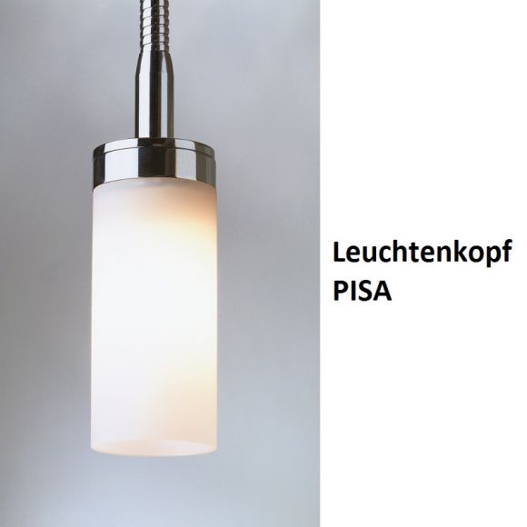 Top Light Buchstütze Light On Blattsilber, Kopf Pisa, Flexarm 30cm