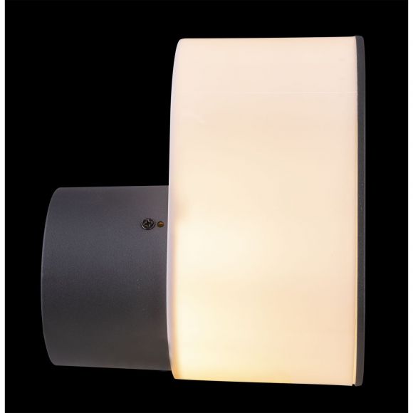 E27 Außenwandleuchte anthrazit opal Außenwandlampe IP44 12 x 20 cm